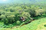 Kitich Forest Camp: aerial+view