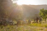 Kitich Forest Camp, Kenya