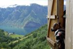 Eventyr på Nærøyfjorden, Norge