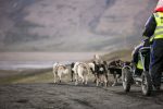 Dag 1. : Summer dogsledding team 6_Photo by Silje Forbes_Basecamp Explorer