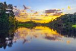 Äventyr i Amazonas regnskog, Ecuador