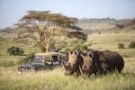 Safari på Sirikoi: Discover one of the world s most renowned Rhino Sanctuaries