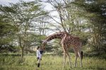 Sirikoi lodge & House: Nditu the resident giraffe at Sirikoi