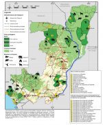 Kongobäckenet: Congo map with animals