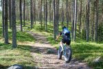 Dag 2. Val av aktivitet - guidad cykling: fatbikes råne älv