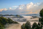 Bwindi Forest: Cloudy Day Nkuringo