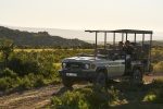 Upplevelser på Bushmans Kloof: Bushmans Kloof nature drive 5