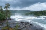 Day 4. Continuation - Full day trip to Storforsen: Storforsen, wild, huge waterfall on Pite River in Swedish arctic on a cloudy, rainy day of arctic summer. Norrbottens area, northwest of Alvsbyn. Wild nature of far north. Nature of Swedish Lapland