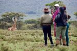 Walking safari masai mara