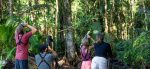 Aktiviteter Playa Cativo Lodge: rainforest playacativo
