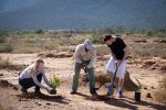 conservation-activities-planting-spekboom-kids-programme-samara-karoo-dook