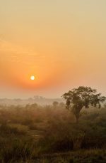 Ishasha Wilderness: Ishasha Wilderness