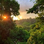 Kibale Forest : Turaco Lodge view