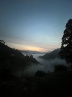 Dag 11 Flyg Kisoro - Entebbe - Sverige: IMG_9934