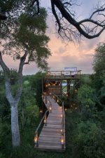 Lion Sands Narina Lodge: lion_sands_tinyeleti_treehouse_4_walkway