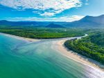 Daintree forest