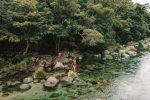Silky Oaks Lodge – en oas mellan Daintree Rainforest och Great Barrier Reef